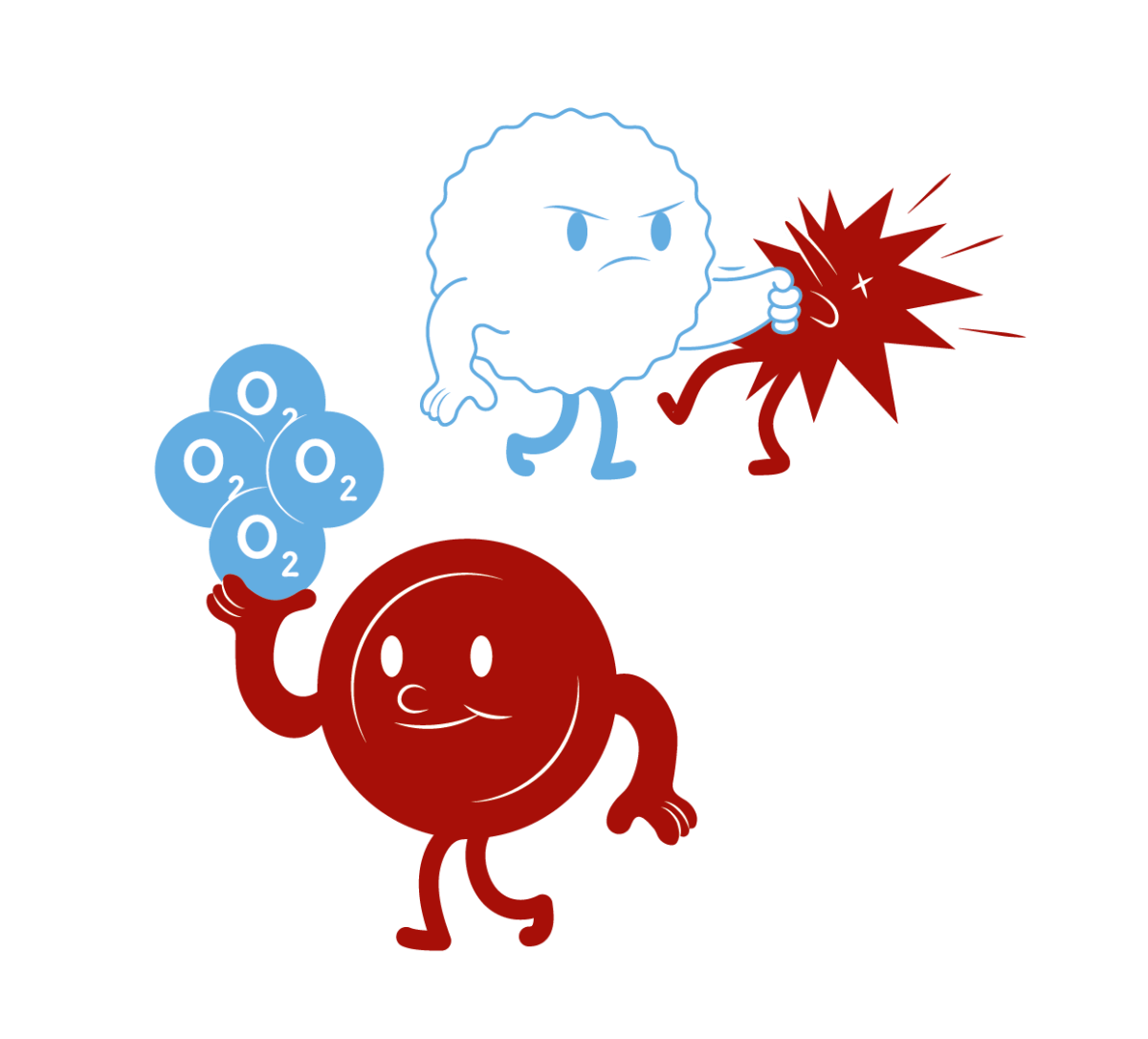 globules-rouges-blancs